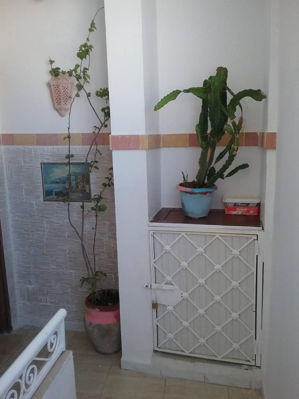 Nour A Cote De La Plage Centre Ville Сус Екстериор снимка
